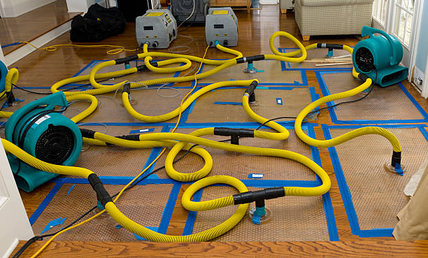 Professional Storm Water Damage Restoration technician working in Florissant, MO